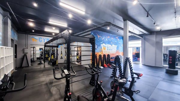 The Wellfit Social Club training floor in Etobicoke, home base for online coaching programming.