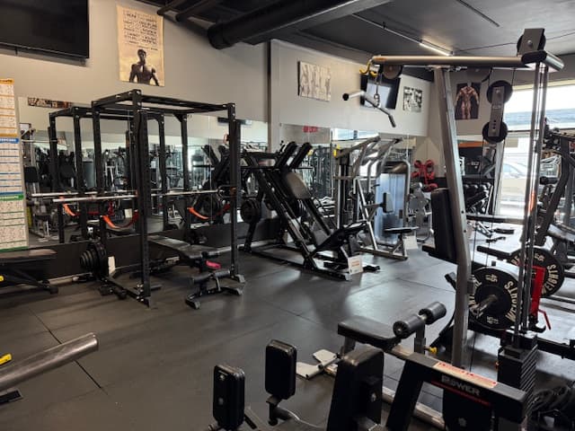 Dumbbells and machines in the Wellfit Social Club HIIT strength area.